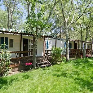 Ξενοδοχείο Thalatta Kalamitsi Village Camp Χαλκιδική